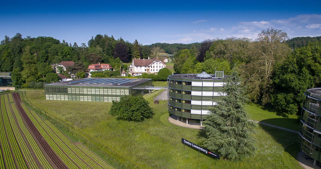 Centre Loewenberg Ξενοδοχείο Murten Εξωτερικό φωτογραφία